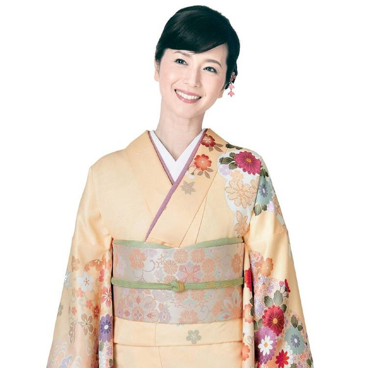 H.L（アッシュ・エル） 訪問着 洗える セット 購入 5点セット 薄