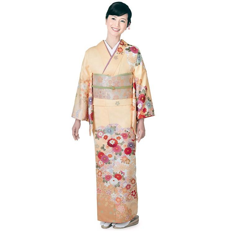 H.L（アッシュ・エル） 訪問着 洗える セット 購入 5点セット 薄