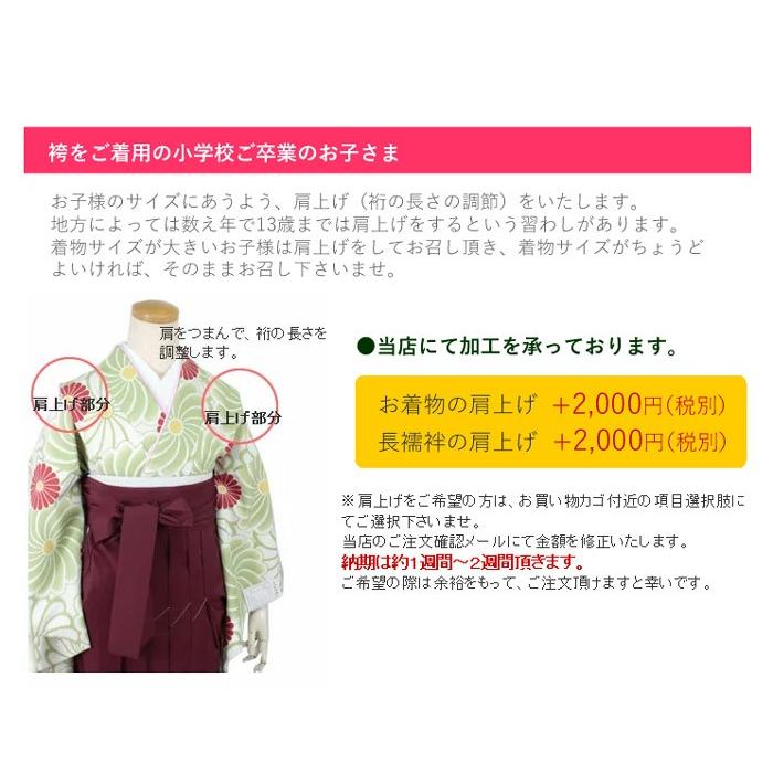 H.L（アッシュ・エル） 卒業式 袴 着物 二尺袖 単品 洗える 8柄 桜 椿
