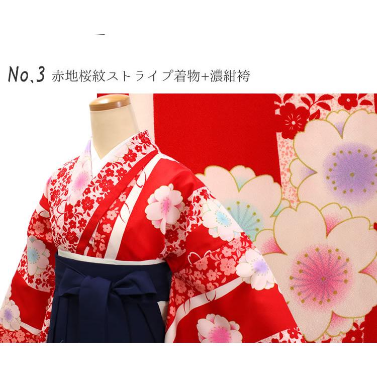 袴2点セット 卒業式 袴 セット 二尺袖 着物 3点セット 絵羽柄 小振袖 女の子 女子