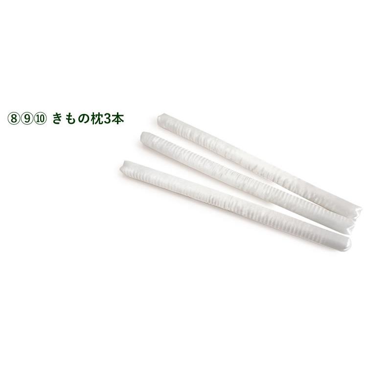 着物 帯 保管10点セット 袋帯用 たとう紙 2枚 1枚 着物ハンガー 2個 房 