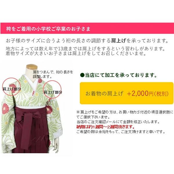 卒業式 二尺袖 着物 袴 2点セット S M L LL 全4柄 七宝 牡丹 矢羽根 藤