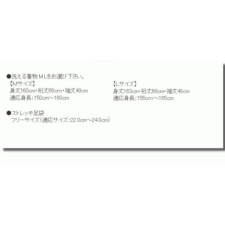 洗える着物 6点 セット M L 春 袷 着物 名古屋帯 帯揚げ 帯締め 足袋 草履 デビュー 福袋 女性 仕立て上がり レディース 着付 練習 カジュアル | ブランド登録なし | 05