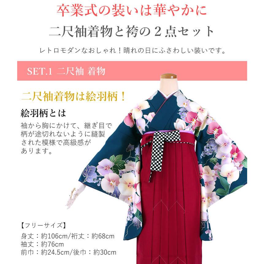 袴セット 紺地胡蝶蘭 ワイン 袴 卒業式 二尺袖 絵羽柄 大学生 学生