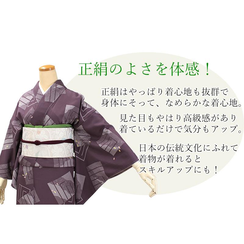 小紋 フルセット 生紬 クリーム色 着物 正絹 蔓 おしゃれ着 かっこいい