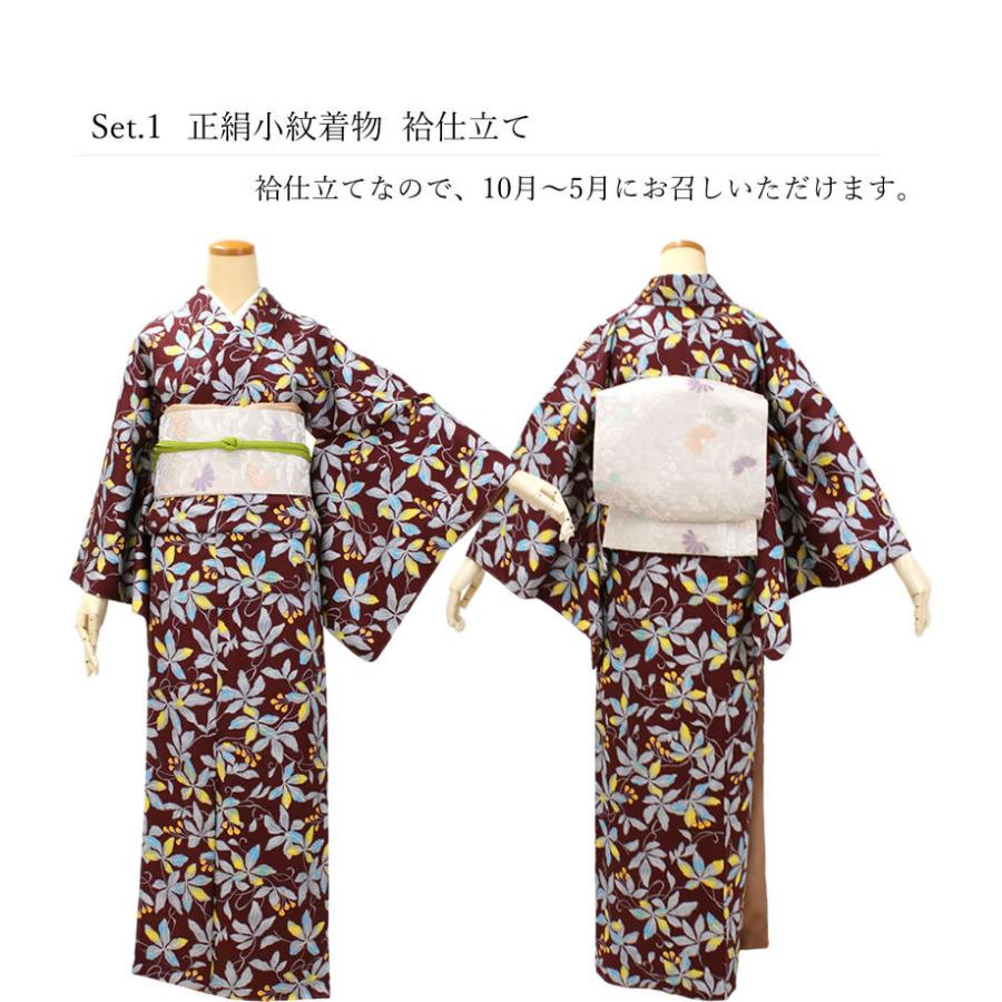 正絹小紋着物デビュー17点フルセット 茶色地カラフルリーフ】正絹着物