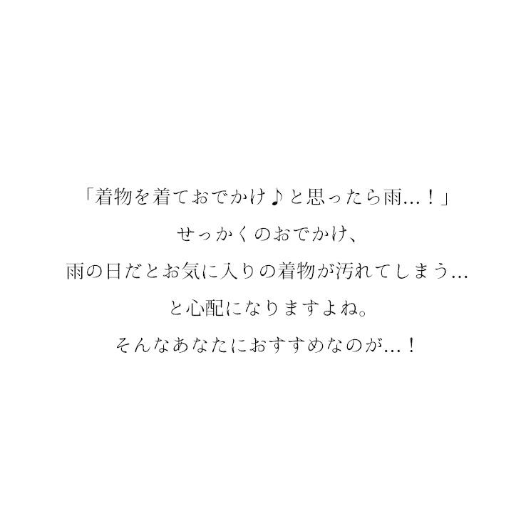 ガード加工 【 お仕立て上がり 色無地 付け下げ 】 撥水 防カビ 汚れ 皮脂 ファンデーション 安心 附下 着物 京都｜kimono-kyoukomati｜02