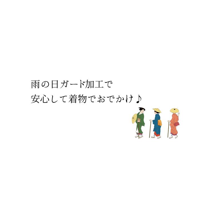 ひで！+ガード加工 ガード加工 【 お仕立て上がり 色無地 付け下げ 】 撥水 防カビ 汚れ