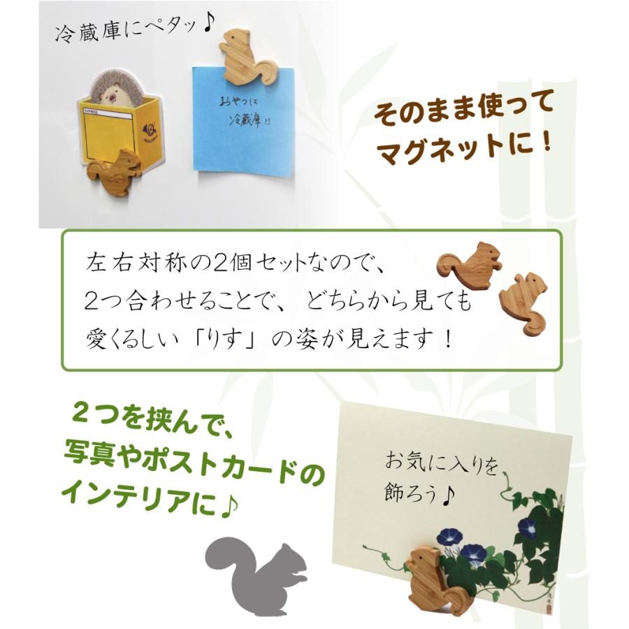どうぶつマグネット りす】マグネット カード立て リス 栗鼠 かわいい