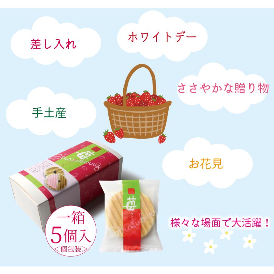 210円 少し豊富な贈り物 苺ヴァッフェル 1箱5個入 いちご スイーツ イチゴ 春 お菓子 セット お花見 贈り物 ギフト 差し入れ 手土産 ご褒美 おやつ 京都 季節限定 22