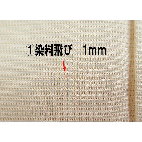 夏物 【中古】 美品 絽 付下げ 若向き 居敷当なし 肌色 （k3416094 