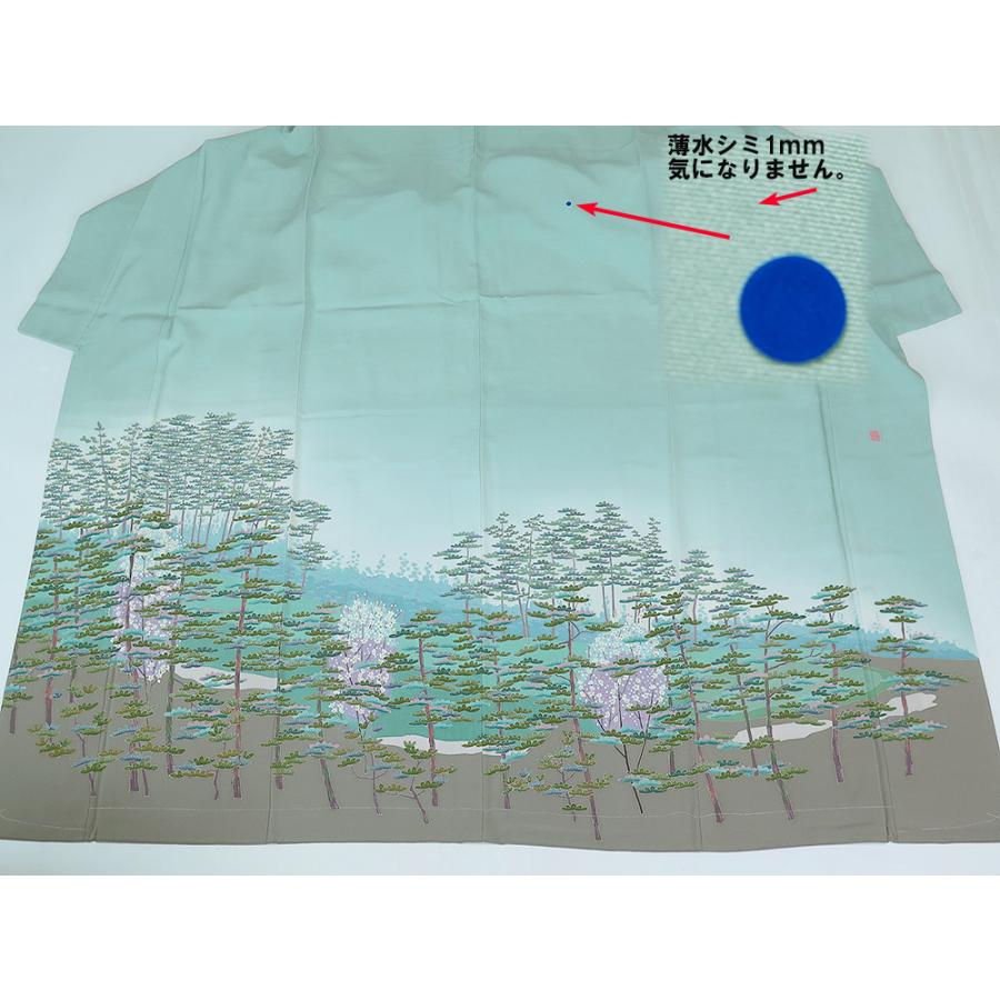 中古】美品 本場加賀友禅 前川哲 作 色留袖 訪問着仕立て 丸に違い鷹の