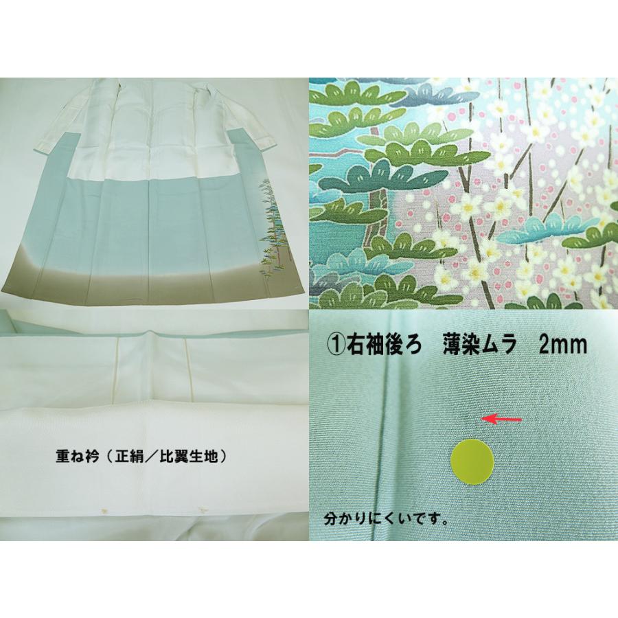 中古】美品 本場加賀友禅 前川哲 作 色留袖 訪問着仕立て 丸に違い鷹の 