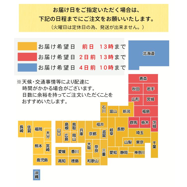 名物裂 和装バッグ 横長 手提げバッグ A4が入る 日本製 金襴 着物