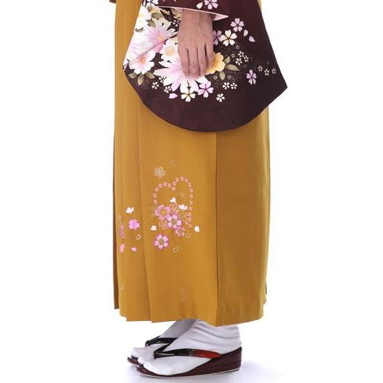 即納最大半額 袴 レンタル 先生用 大学生 教員 女子 セット モダン レトロ Mh 茶コスモス Ananカラシハート95ｃｍ 日本最大級 Www Kmhsystems Com