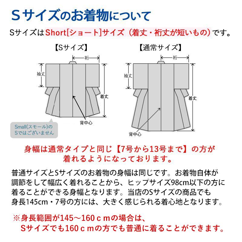 訪問着レンタル 小さいサイズ 小柄 安い 格安 mtu-145 着物フルセット 結婚式 披露宴 入学式 入園式 七五三 お宮参り 記念日 家族写真 母親 ママ 母 保護者 衣裳｜kimono-rental｜08