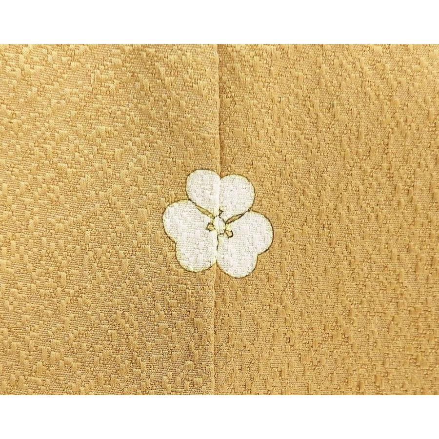 色無地 未使用 正絹 加賀友禅 百貫達雄 身丈158.5cm 裄丈63.5cm 片喰 未着用 美品 新古品 着物 結婚式 入学式 卒業式 a4058 色無地 未使用 正絹 加賀友禅 百貫達雄 身丈158.5cm 裄丈63.5cm 片喰