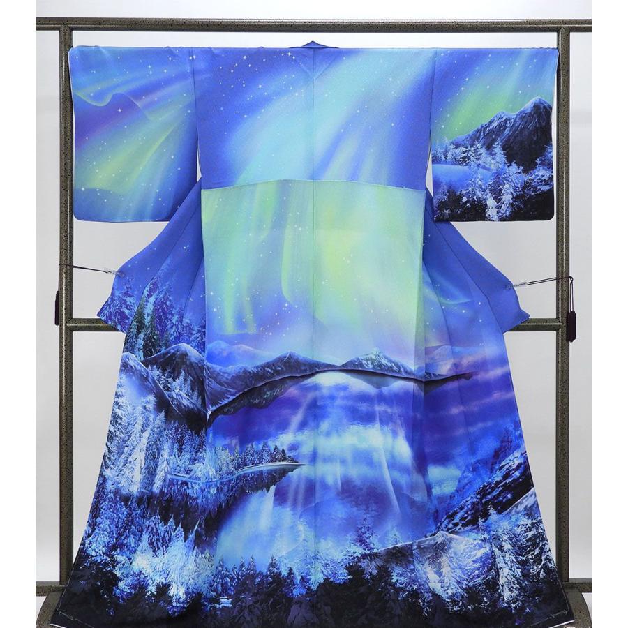 訪問着 仕立て上がり 新品 正絹 オーロラ 雪原 湖畔 身丈165.5cm 裄丈68cm 新品仕立済 着物 パーティー b1039の画像