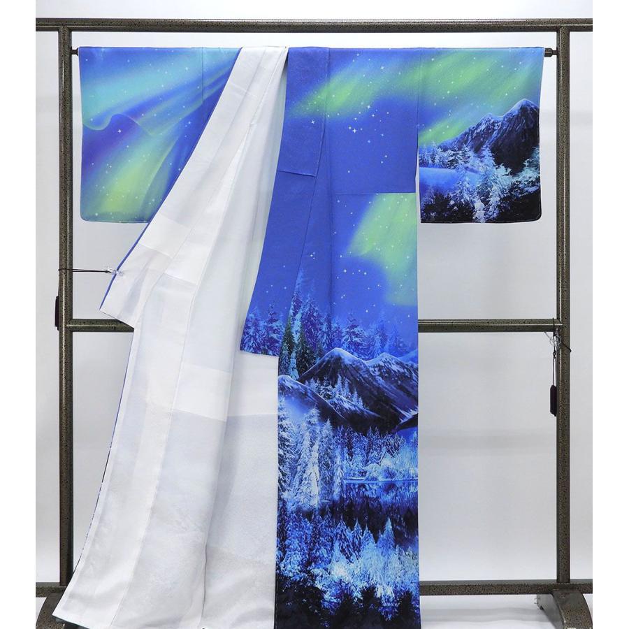 訪問着 仕立て上がり 新品 正絹 オーロラ 雪原 湖畔 身丈165.5cm 裄丈68cm 新品仕立済 着物 パーティー b1039の画像