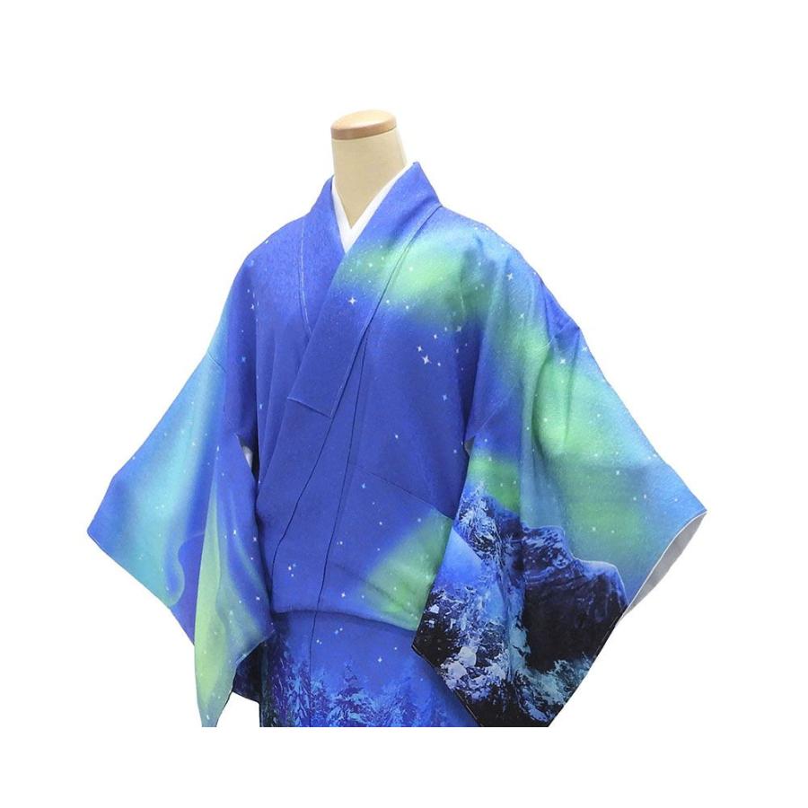 訪問着 仕立て上がり 新品 正絹 オーロラ 雪原 湖畔 身丈165.5cm 裄丈68cm 新品仕立済 着物 パーティー b1039の画像