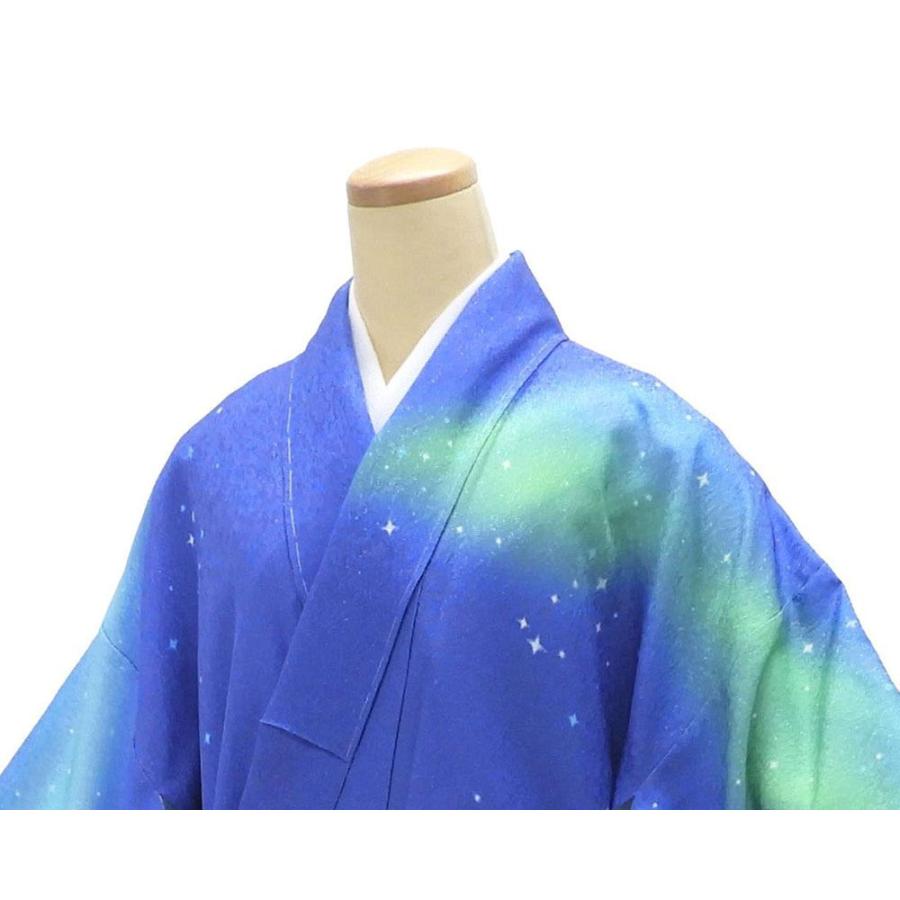 訪問着 仕立て上がり 新品 正絹 オーロラ 雪原 湖畔 身丈165.5cm 裄丈68cm 新品仕立済 着物 パーティー b1039の画像