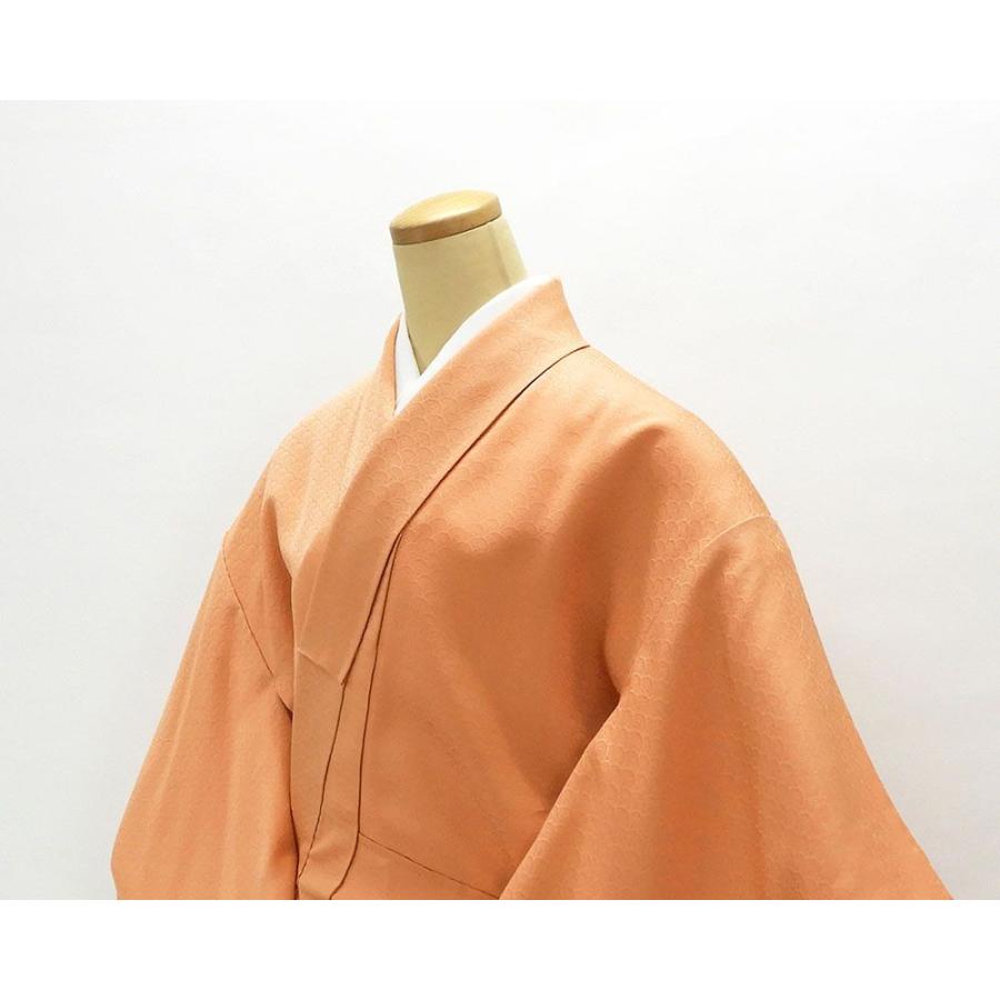 訪問着 正絹 雲取青海波模様 身丈161cm 裄丈65.5cm 訪問着 リサイクル 着物 結婚式 入学式 卒業式 b4016 訪問着 正絹 雲取青海波模様 身丈161cm 裄丈65.5cm リサイクル 着物