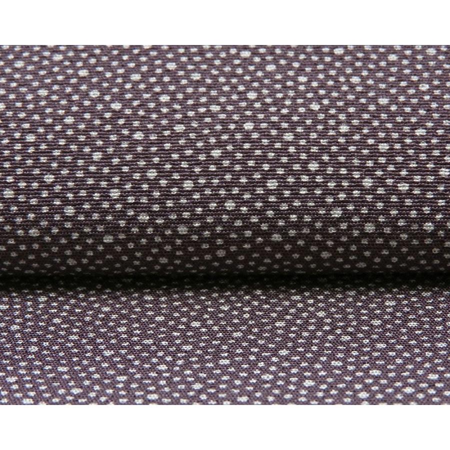 小紋 反物 正絹 江戸小紋 大小霰柄 丹後ちりめん 新品 未仕立 着物 c2107 小紋 反物 正絹 江戸小紋 大小霰柄 丹後ちりめん 新品 未仕立 着物