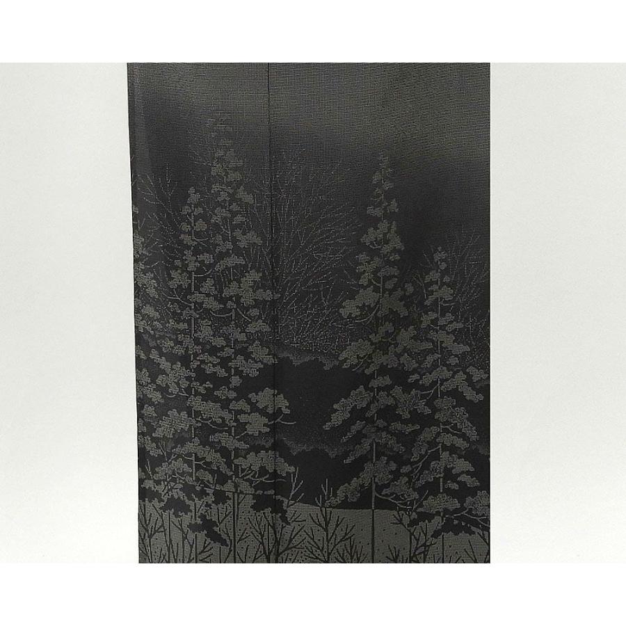 単衣 訪問着 新品仕立済 正絹 本しぼ絣 庭野鵬雪 紬身丈165cm 裄丈68cm 訪問着 新品 仕立て上がり 着物 wb1031の画像
