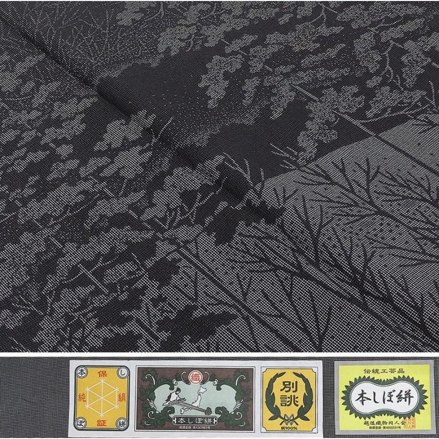 単衣 訪問着 新品仕立済 正絹 本しぼ絣 庭野鵬雪 紬身丈165cm 裄丈68cm 訪問着 新品 仕立て上がり 着物 wb1031の画像