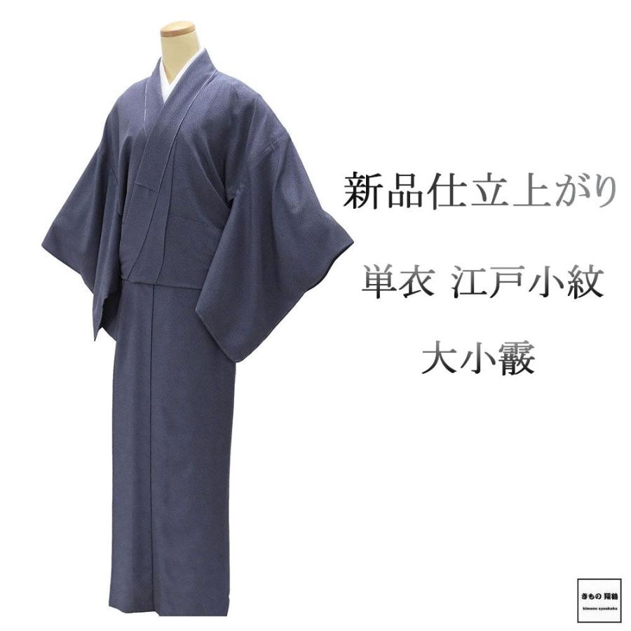 単衣 江戸小紋 新品 仕立上がり 正絹 大小霰 身丈164.5cm 裄丈68.5cm 仕立済 着物 wc5003 単衣 江戸小紋 新品 仕立上がり 正絹 大小霰 身丈164.5cm 裄丈68.5cm