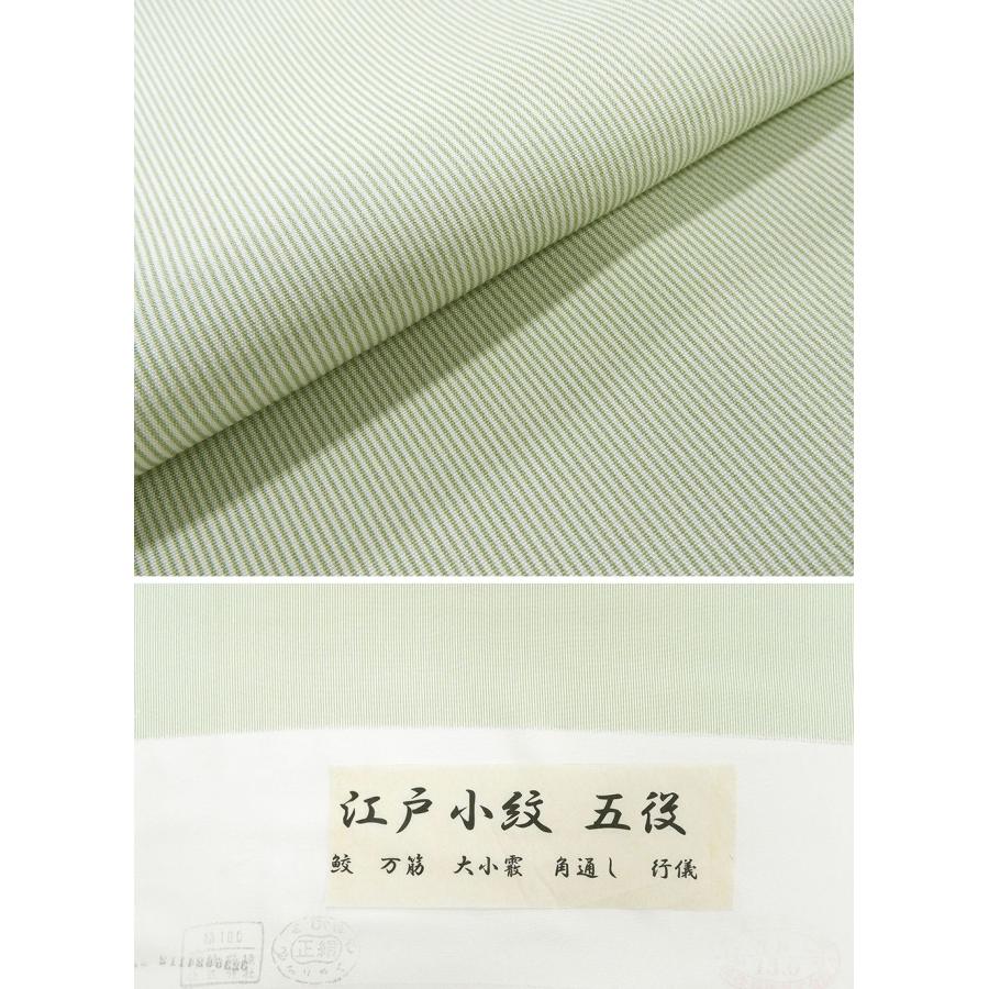 単衣 江戸小紋 新品 仕立上がり 正絹 万筋 身丈164.5cm 裄丈68.5cm 仕立済 着物 wc5004の画像