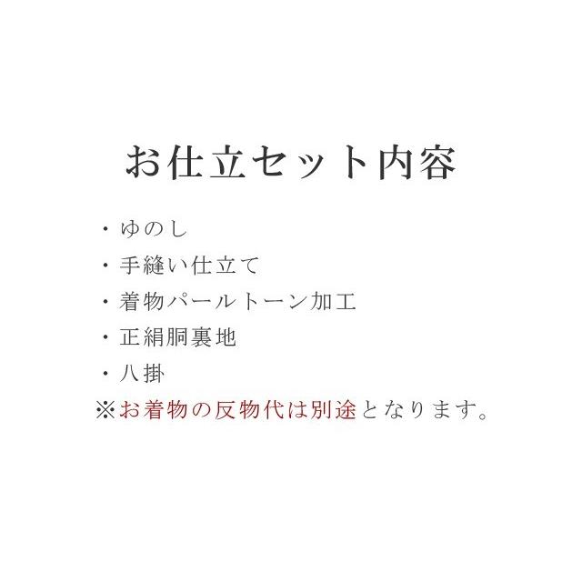 パールトーン加工 お仕立て セット 小紋 撥水 防カビ 汚れも安心 ガード加工 sin3531pt