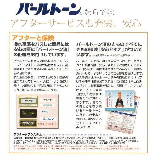 パールト反物 ン加工 お仕立て セット 訪問着 撥水 防カビ 防汚 パールトーン ガード加工 単衣 sin3538pt_5