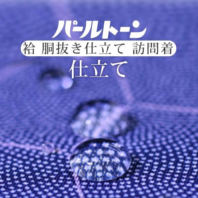 パールトーン加工 お仕立て セット 訪問着 撥水 防カビ 汚れも安心 ガード加工 着物の事は全てお任せ下さい sin8053pt-shitate