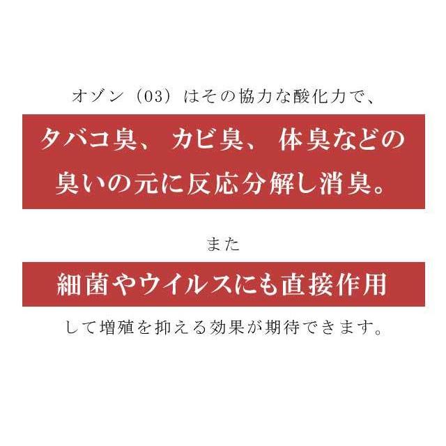 着物 クリーニング オゾン京洗い 振袖用 着物+帯+長襦袢３点セット 臭いと菌に着目 sin8950-shitate_5