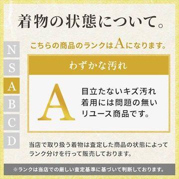 夏袋帯 夏帯 菊 正絹 レディース 女性 着物 和装 和服 30代 40代 50代