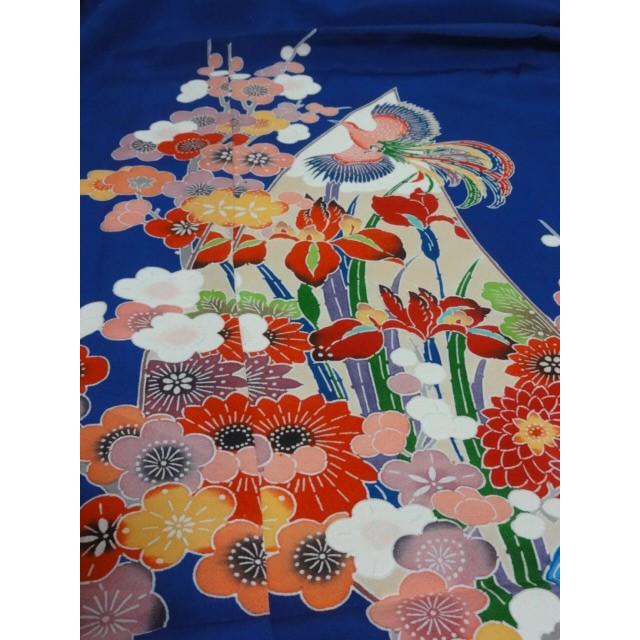訪問着 正絹 新品 未仕立て 仮絵羽 紅型染 菖蒲 宮参り 七五三 入学 