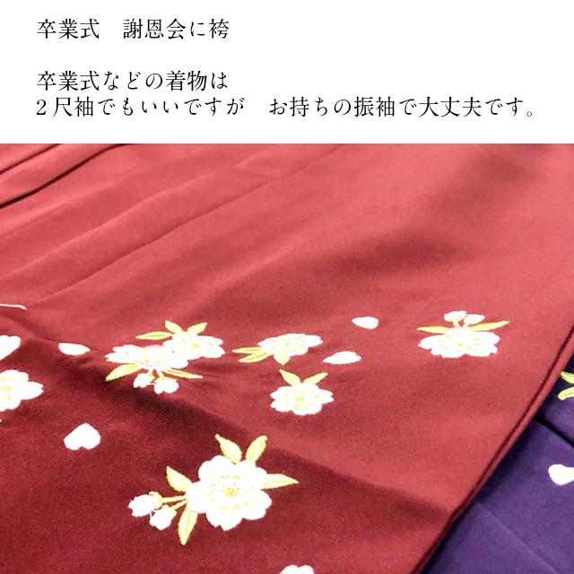 レンタル】袴レンタル 袴と半幅帯 2点セット レンタル 袴レンタル