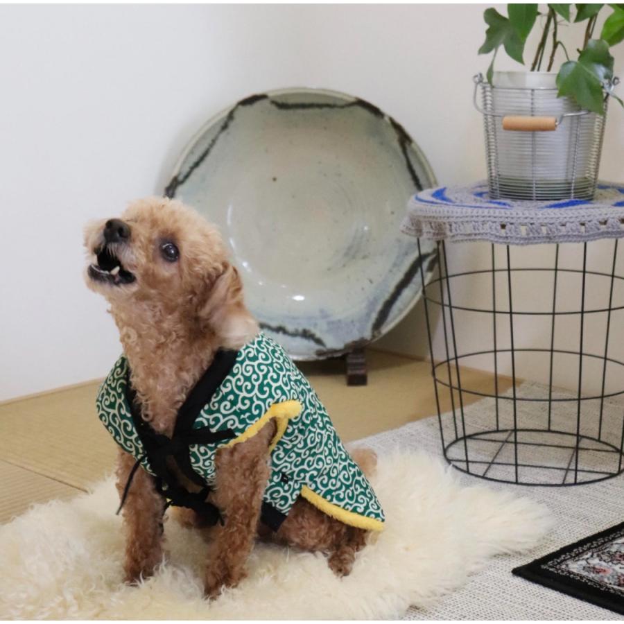 犬 猫 ちゃんちゃんこ 小型犬 犬服 防寒着 温泉 旅行 年賀状 記念写真