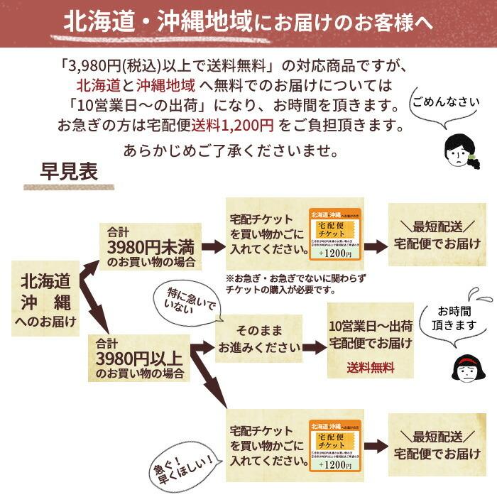 人気急上昇 袋帯 名古屋帯 京袋帯 透明 帯袋 10枚セット 収納袋 大切に保存出来る 帯 保存袋 着物 草履 にも使える  whitesforracialequity.org