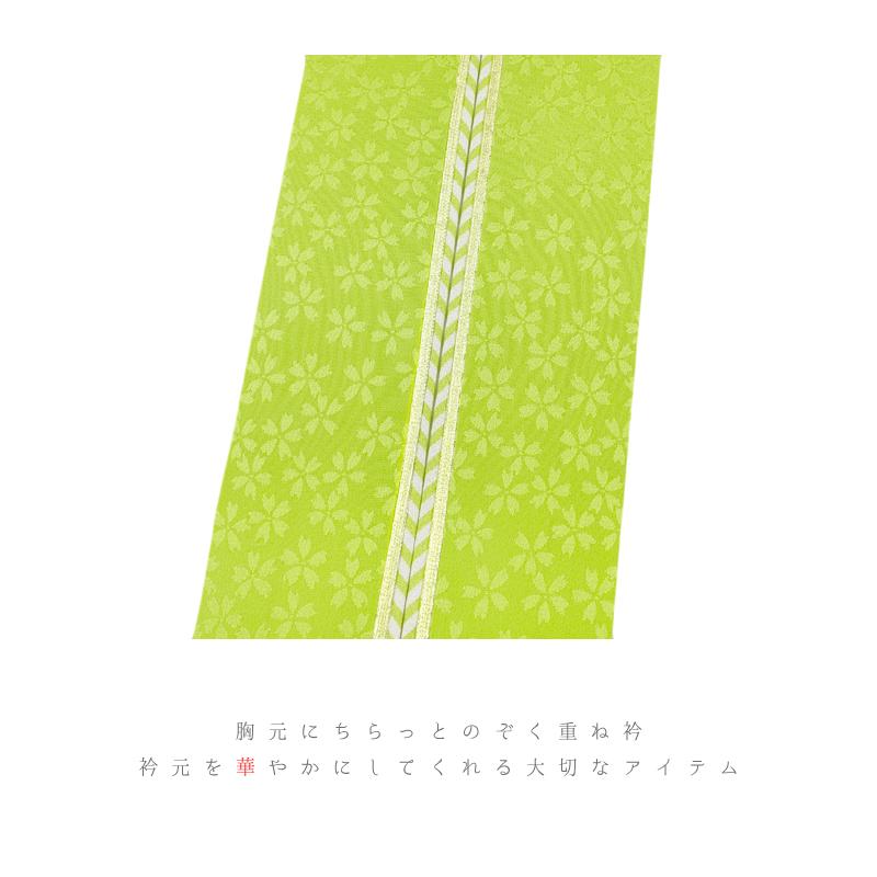 重ね衿 振袖 伊達衿 正絹 黄緑 渋緑 グリーン 白 ゴールド 花 桜 小花