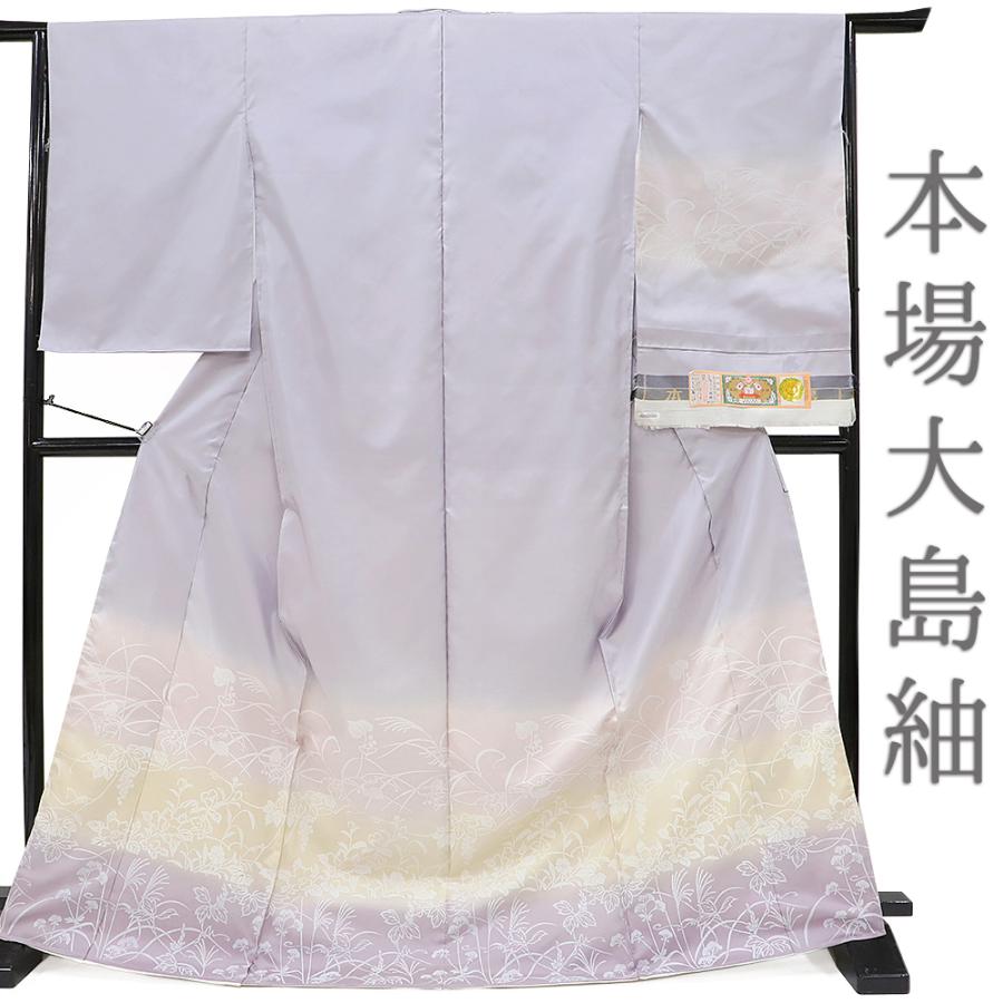 染大島 大島紬 縞大島 未仕立て 仮絵羽 着物 反物 灰紫 薄ピンク 黄色 
