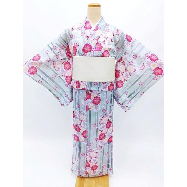 絽 小紋 中古 31 夏物 身長162cm前後 訪問着 リサイクル 貸
