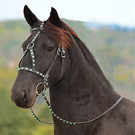 【12月スーパーSALE 15％OFF】 送料無料Saddlesworld Black Designer D.D Leather Dressage Horse Bridle (Black, Pony)好評販売中 その他乗馬用品