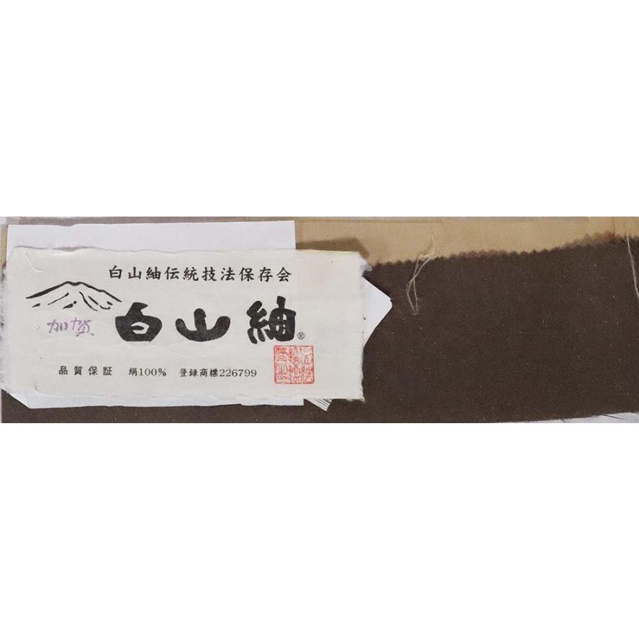 お洒落訪問着用 白山紬 袋帯 茶色 金通し 創作柄 F5452 新品 Lサイズ 