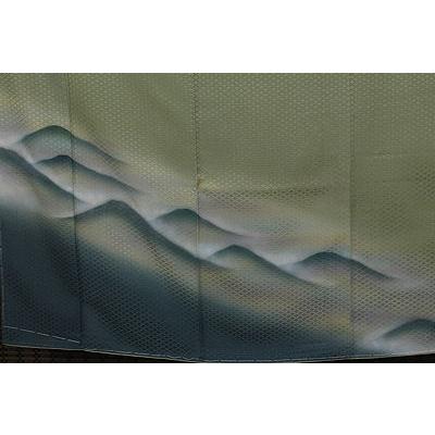 送料無料】色留袖・訪問着☆正絹☆遠山 ki14451【未使用品】 : ki14451 