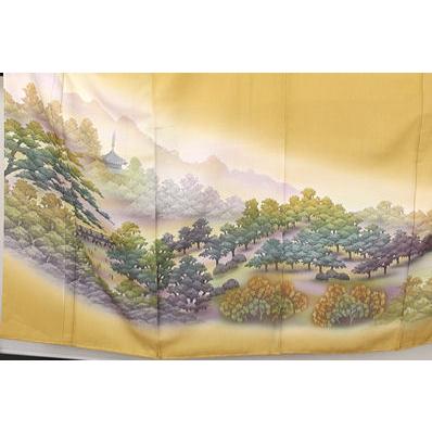 友禅 色留袖 袷 正絹 都風景 Sサイズ ki20539 新品 着物