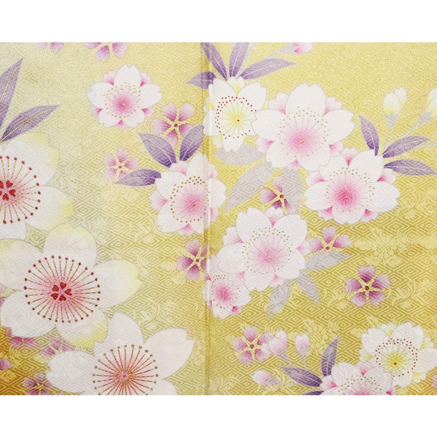 【送料無料】本振袖★正絹★桜花　ki23299【新品】