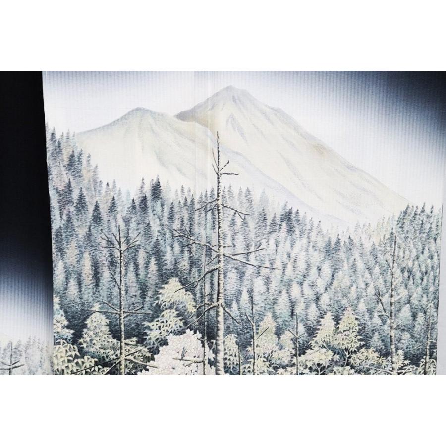 京友禅作家 田家鬼彩氏作 訪問着 袷 正絹 黒 暈し 山水画 Mサイズ 