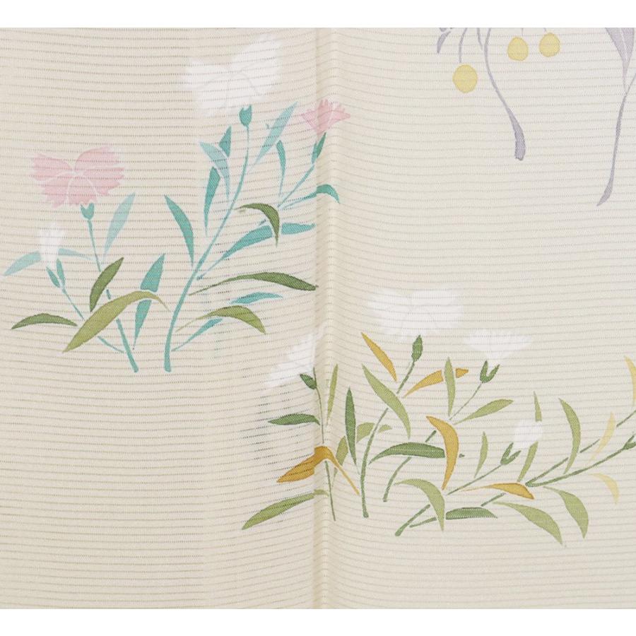 絽 訪問着 正絹 薄いベージュ 草花 菊 桔梗 オミナエシ 撫子 Lサイズ  